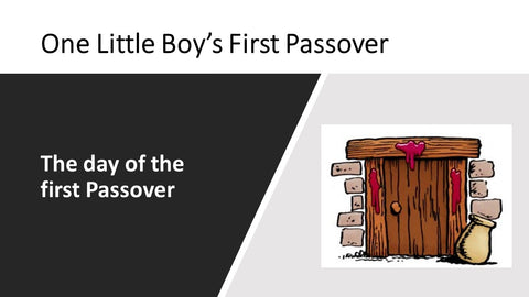 One Little Boy's First Passover